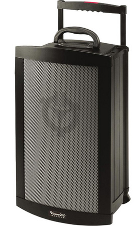 Victory 2000 Portable PA System with cabled mic