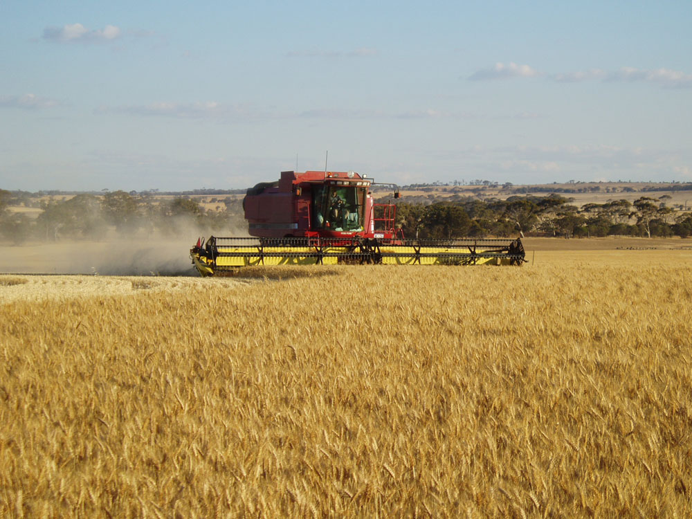 Harvesting Harvesting