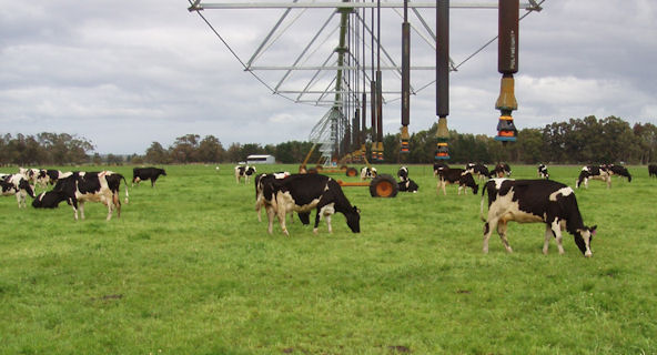 AAAC - Animal Husbandry and Management
