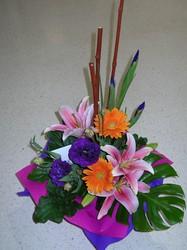 ORIENTAL LILLIUM IN KRAFT BOX