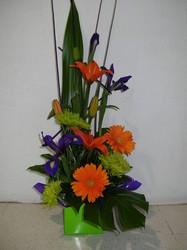 Tall Bright Box Arrangement
