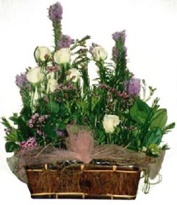ARRANGEMENT - TRENDY DESIGN