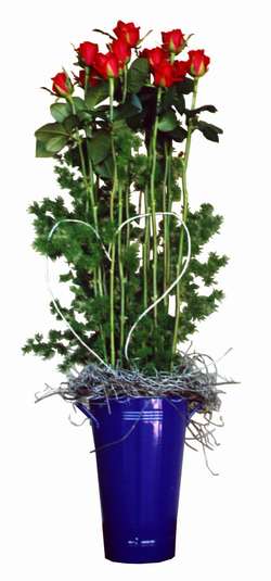 Arrangement of long stemmed roses