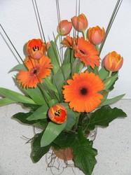 ARRANGEMENT IN TERRACOTTA POT