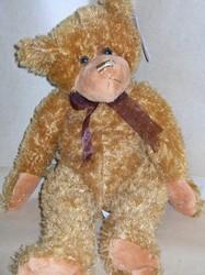 David Bear