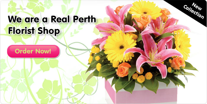 http://www.alexanderhouseofflowers.com.au/