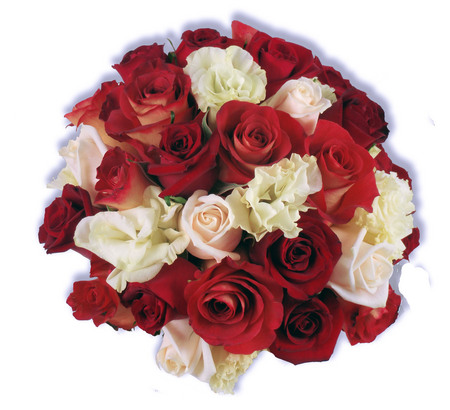 Flower Delivery Perth on Perth And Western Australia   Perth Florists   Perth Flower Delivery