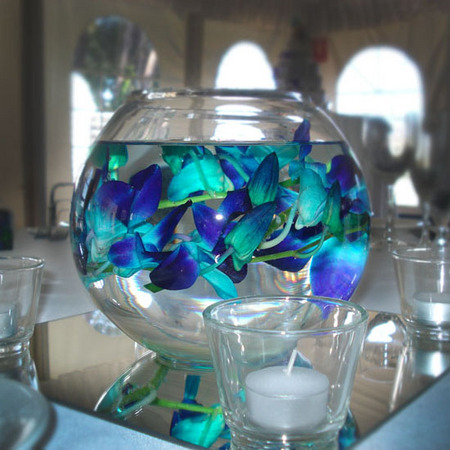 Beautifully swirled blue orchids in a round vase sitting on a mirror with 