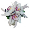 Cymbidium Orchid wrist corsage