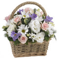 Petite sympathy basket