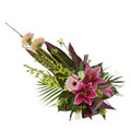 Pink sympathy spray