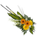Bright sympathy spray