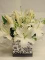Black and white box arrangement