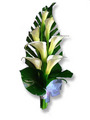 Arum lilly sheaf