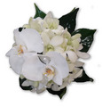 Phalaenopsis and orchid posy