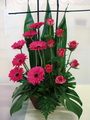 Pretty Pinks