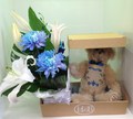 Heritage Boy Bear
