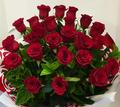 Roses (2 dozen)