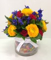 Jelly Bean Delight