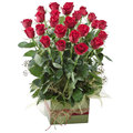 Rose Box Deluxe