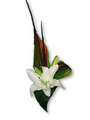 A Oriental