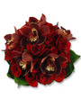 Cymbidium orchid and red rose posy, the Stella