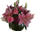 Pink fish bowl arrangement