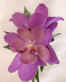 Purple Mokara Orchid Dress  Corsage