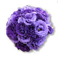 Lisianthus posy
