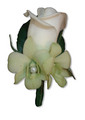 Rose and Green Orchids Buttonhole Pearl