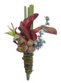 Native Buttonhole Red