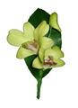 Green Orchid Buttonhole