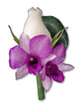 White Rose Buttonhole with Purple Orchids