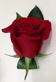 Red Rose Buttonhole