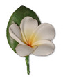 Silk Frangipani Buttonhole