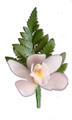 Cymbidium Orchid Buttonhole