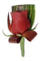 Red Rose Buttonhole With Added Leaves
