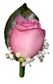 Pink Buttonhole with Gypsophilia