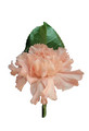 Carnation Buttonhole