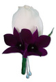 White Rose and Black Magic Orchid