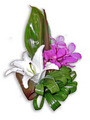 Sweet hand held Posy