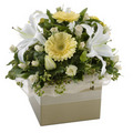 Sympathy Box Arrangement