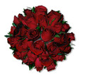 Camellia