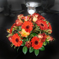 Freesias, Gerbera and Rose Table Arrangment