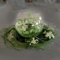 Swirled Orchids in a Vase