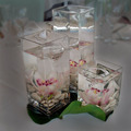 Cymbidium Orchids in Vases
