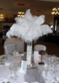 Ostrich Feathers