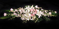 Pink and white pastel long and low