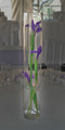 Iris's in a vase