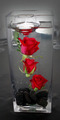 Red suspended roses
